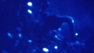 Morphology of a Dream Trailer