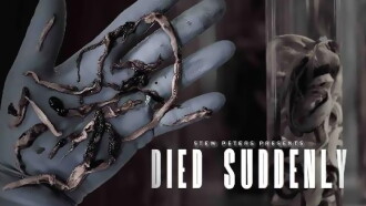Mort Subitement Trailer