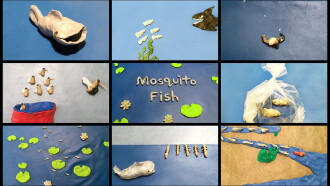 Mosquito Fish Trailer