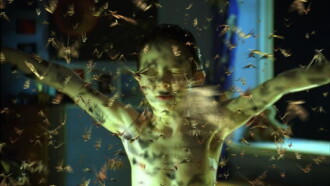 Moth Trailer