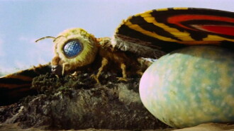 Mothra vs. Godzilla Trailer