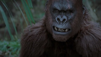 Mountain King Trailer
