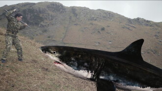 Mountain Shark Trailer