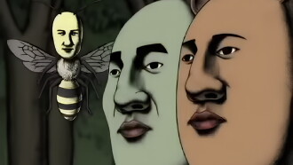 Mr. Ando of the Woods Trailer