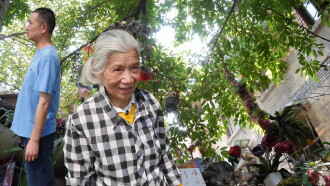 Ms. Hu's Garden Trailer