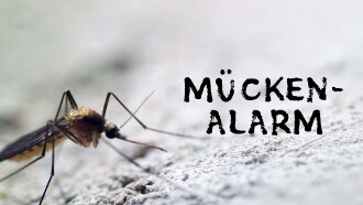 Mückenalarm - Invasion der Plagegeister Trailer