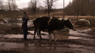 Mud Trailer
