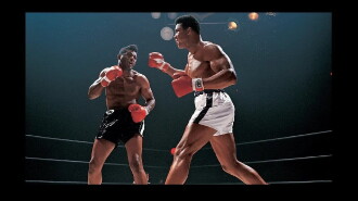 Muhammad Ali vs. Floyd Patterson II Trailer