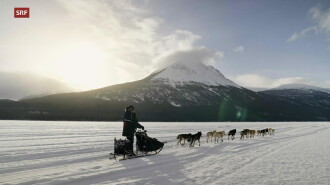 Musher, l'appel de l'Alaska Trailer