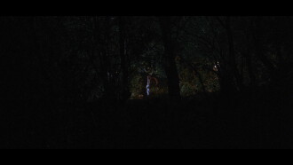 Music Forest Trailer