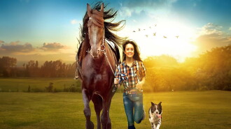 My Best Friend Trailer