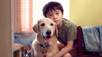 My Dog Dou Dou Trailer