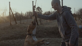 My Dog Killer Trailer