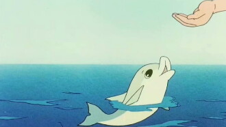 My Friend Little Dolphin Trailer