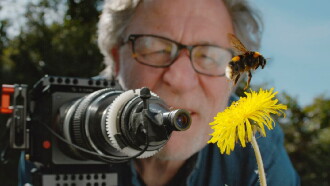 My Garden of a Thousand Bees Trailer