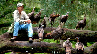 My Life as a Turkey Trailer