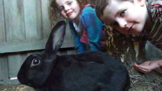 My Rabit Hoppy Trailer