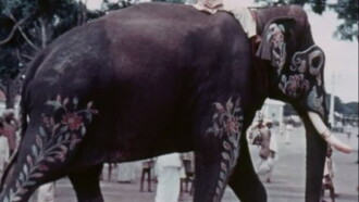 Mysore Trailer