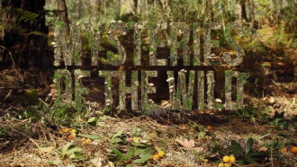 Mysteries of the Wild Trailer
