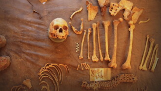 Mystery of The Himalayan Mummies Trailer