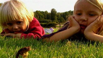 Myten om prinsgrodan Trailer