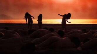 Naked Paradise Trailer