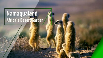 Namaqualand Trailer