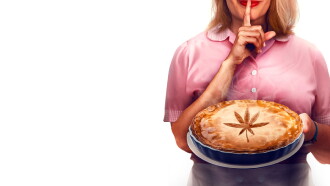 Nana's Secret Recipe Trailer