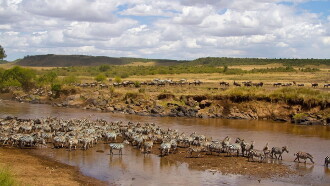 National Geographic - Africas Blood River Trailer