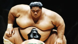 National Geographic: Inside Sumo's Ultimate Clash Trailer