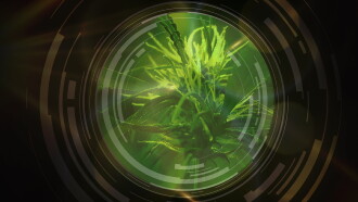 National Geographic Investigates: Legal Marijuana in America Trailer