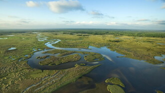 National Parks Exploration Series: The Everglades Trailer