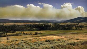 National Parks Exploration Series: Yellowstone Trailer