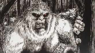 Native Bigfoot Trailer