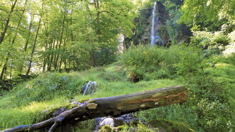Natur pur - Deutsche Wälder Trailer