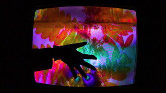 Naturae Recordatus Trailer