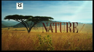 Nature: Yosemite Trailer