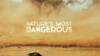 Nature's Most Dangerous Trailer