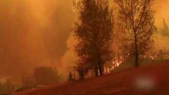 Natuurrampen: Brandhaarden Trailer