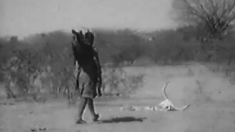 Nelisita Trailer