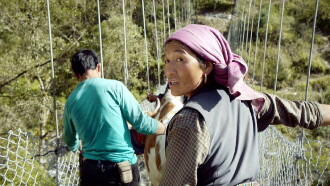 Népal : sur la route du marché Trailer