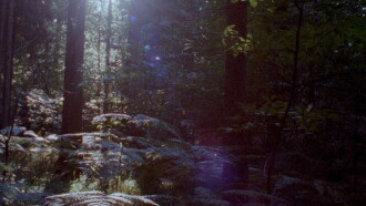 Newsreel 670 – Red Forests Trailer
