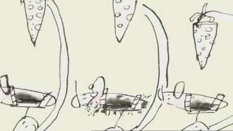 Nibbles Trailer