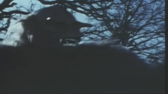 Night Fright Trailer