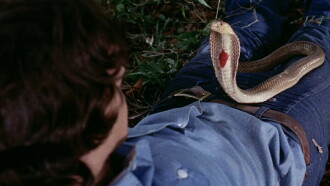 Night of the Cobra Woman Trailer
