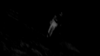 Nightwalk Trailer