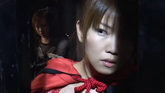 Ninja Vixens: Web of Passion Trailer
