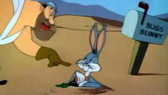 No Parking Hare Trailer