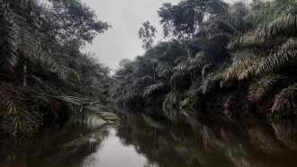 No River Protects me from Myself Trailer