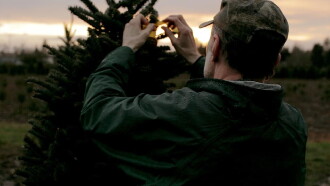 Noble Fir Trailer